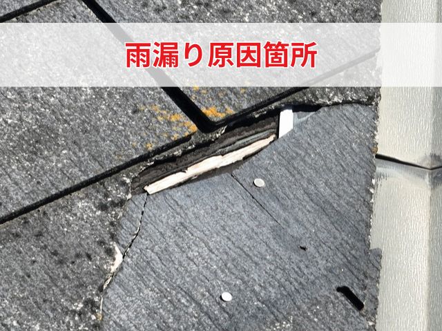 雨漏り原因箇所