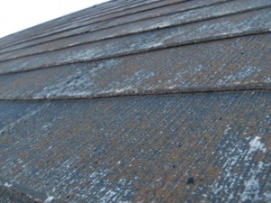 町田市　外壁塗装　屋根点検　苔の発生　接写