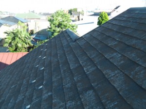 町田市　外壁塗装　屋根点検　苔の発生