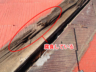 鎌倉市　棟板金飛散後の点検　腐食した貫板