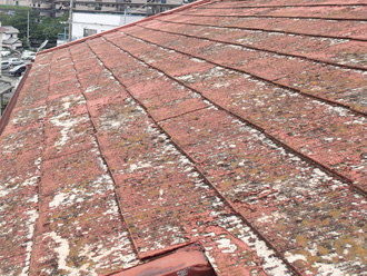 君津市　屋根の調査　塗膜が剥がれて下地が見えている