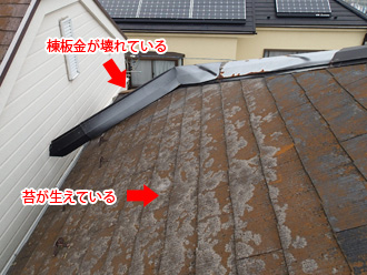 江東区　屋根塗装前の屋根は棟板金の壊れや苔が生えている