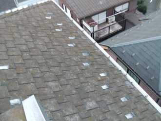 足立区　屋根カバー工法前は屋根材に苔が生えている