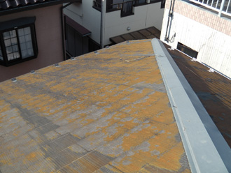 墨田区　屋根塗装前は苔が生えている