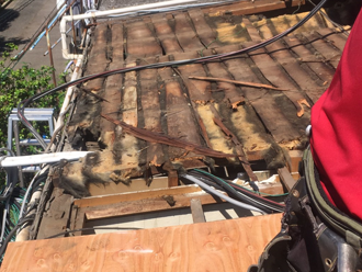 横浜市中区　瓦棒屋根の葺き替え工事　下地が傷んでしまっている
