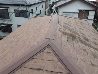 江戸川区にて屋根の雨漏り調査