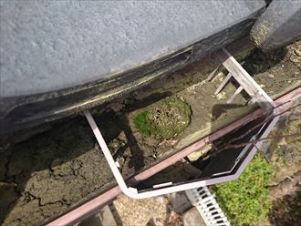 八王子市川町にて草土が溜まり役割を果たせない雨樋を清掃作業で改善、施工前写真