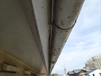 千葉市若葉区　雨樋側の破風板