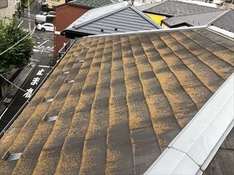 荒川区西尾区にてスーパーガルテクト（Sシェイドブルー）を使用し屋根カバー工事を行いました、施工前写真