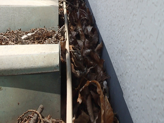 折半屋根　隙間を埋めてしまう落ち葉